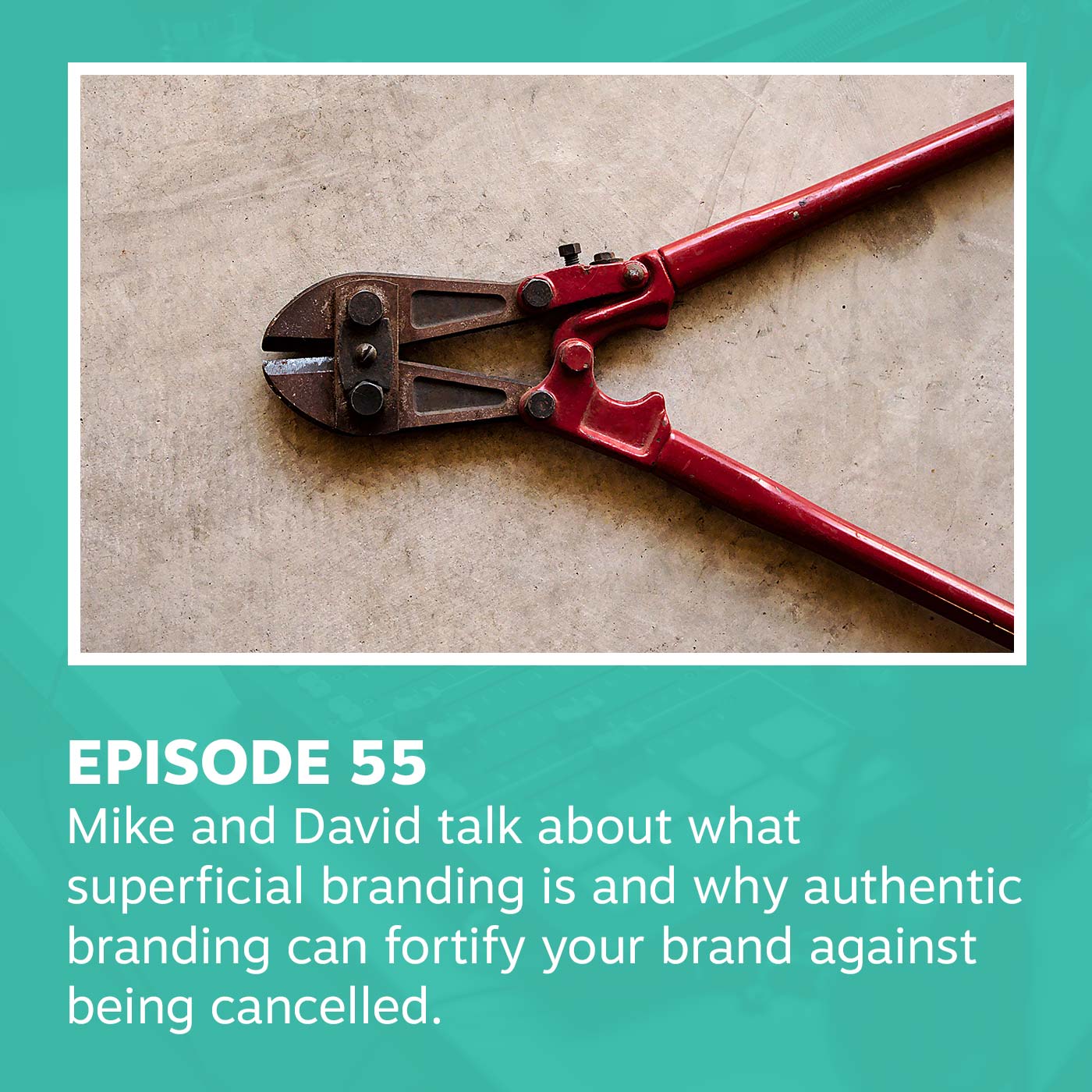 Episode 55 // Can an Authentic Brand be Cancelled? episode artwork